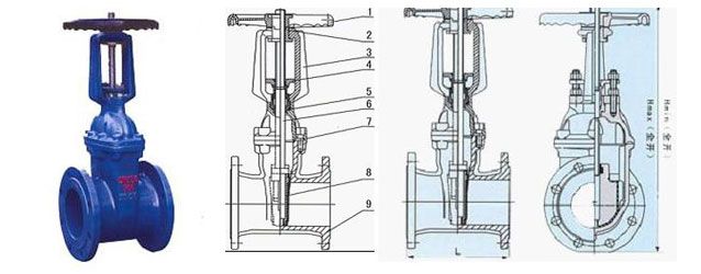 ��������բ��